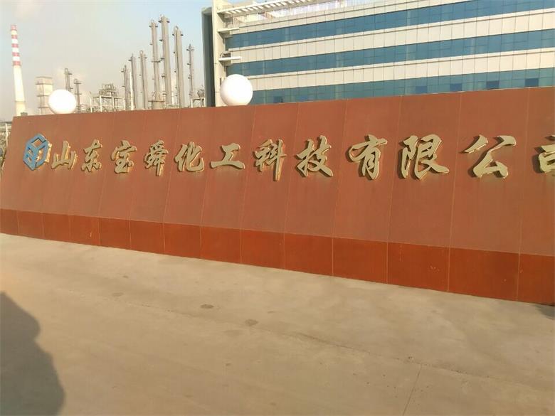 施秉山東寶舜化工科技有限公司